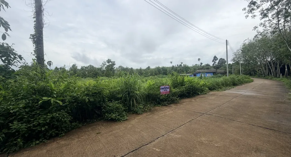 For sale land in Klaeng, Rayong