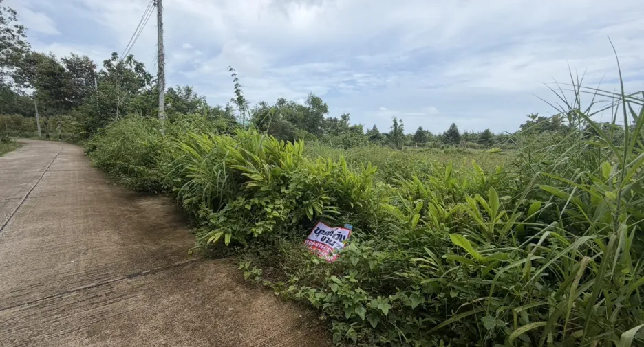 For sale land in Klaeng, Rayong