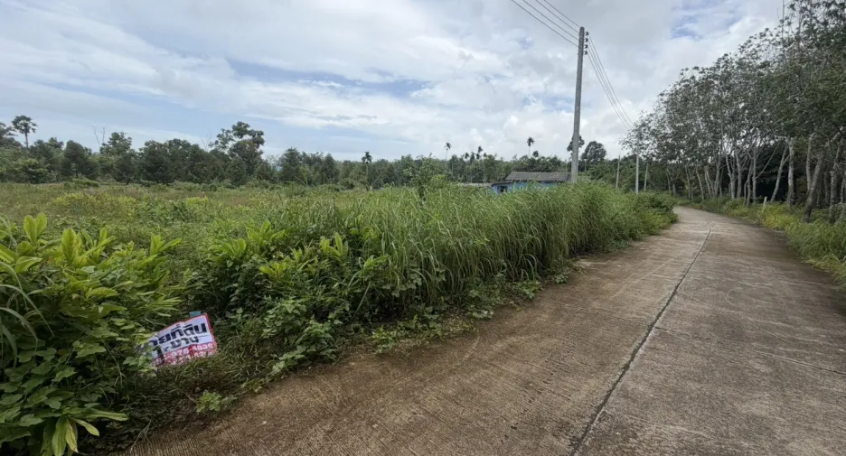 For sale land in Klaeng, Rayong