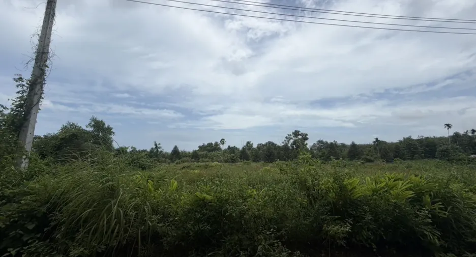 For sale land in Klaeng, Rayong