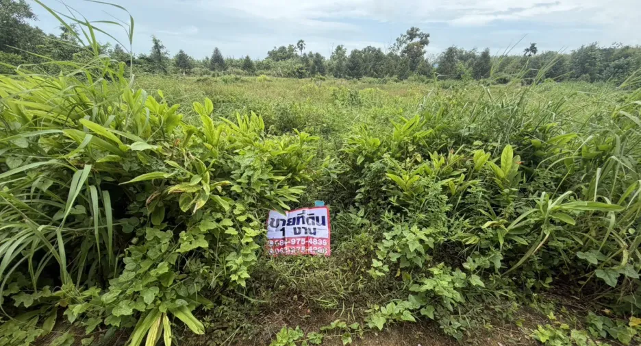 For sale land in Klaeng, Rayong