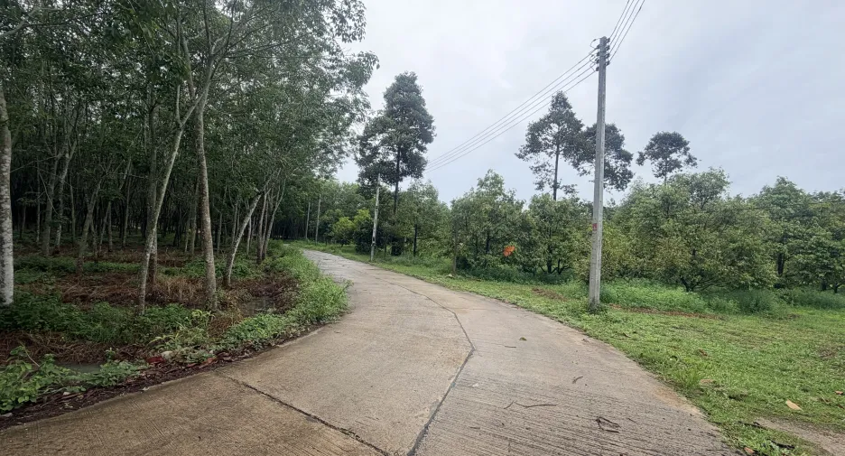 For sale land in Klaeng, Rayong