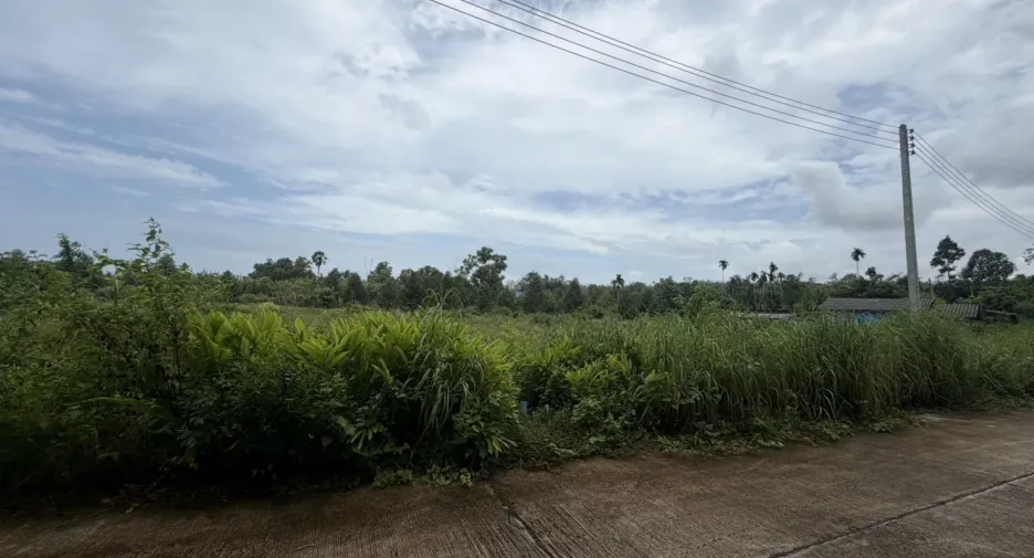 For sale land in Klaeng, Rayong