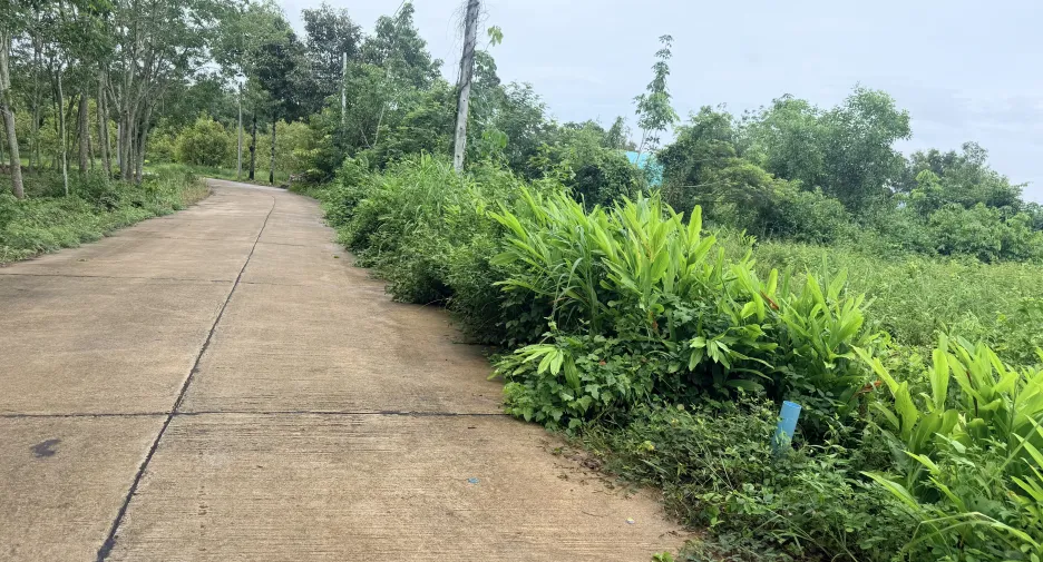 For sale land in Klaeng, Rayong