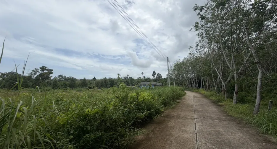 For sale land in Klaeng, Rayong