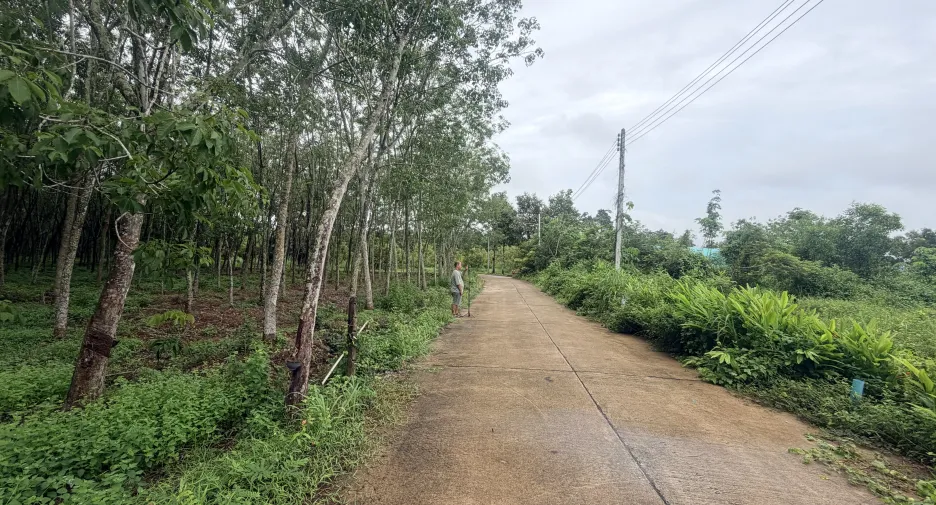 For sale land in Klaeng, Rayong