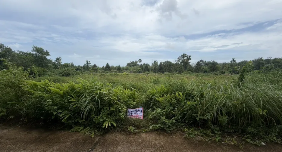For sale land in Klaeng, Rayong