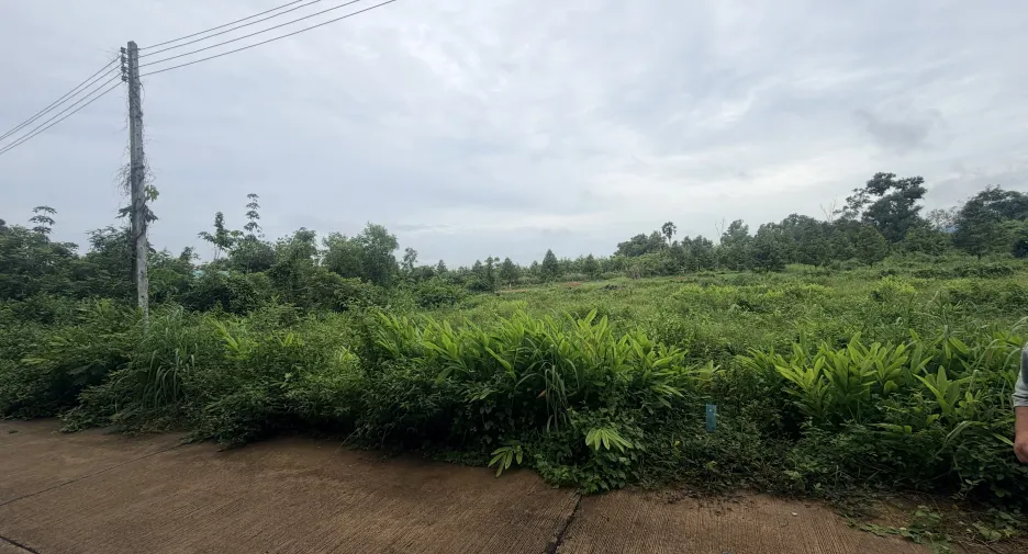 For sale land in Klaeng, Rayong