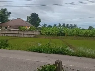 For sale land in San Kamphaeng, Chiang Mai