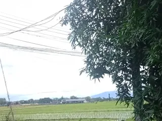 For sale land in San Kamphaeng, Chiang Mai