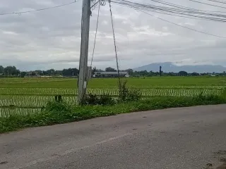 For sale land in San Kamphaeng, Chiang Mai