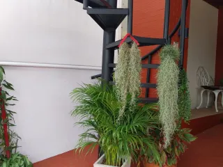 For sale 2 bedrooms townhouse in Kathu, Phuket