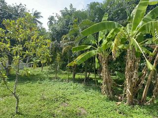 For sale land in Ko Samui, Surat Thani