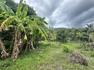 For sale land in Ko Samui, Surat Thani
