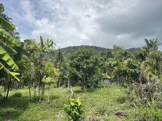 For sale land in Ko Samui, Surat Thani