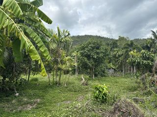 For sale land in Ko Samui, Surat Thani
