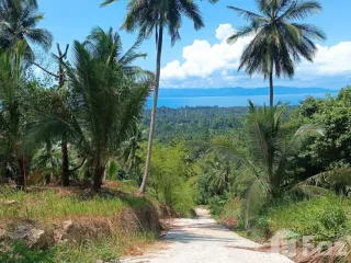 出售 土地 在 Koh Phangan, 素叻