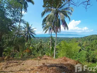 出售 土地 在 Koh Phangan, 素叻