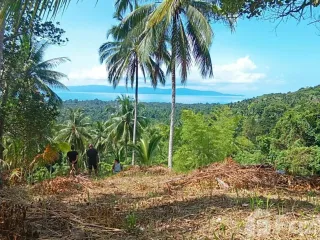出售 土地 在 Koh Phangan, 素叻