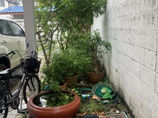 For sale and for rent 3 bedrooms house in Bang Khen, Bangkok