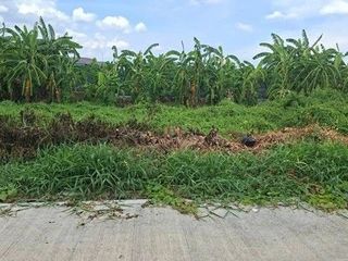 出售 土地 在 Thawi Watthana, 曼谷