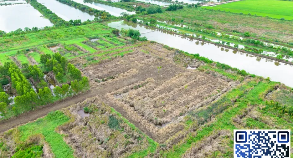 For sale land in Bang Sao Thong, Samut Prakan