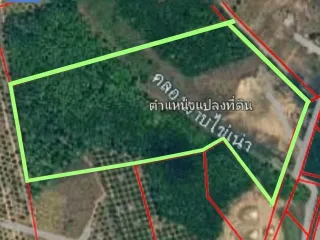For sale land in Pluak Daeng, Rayong