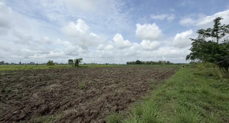 Grundstück zum Kauf in Khlong Khlung, Kamphaeng Phet