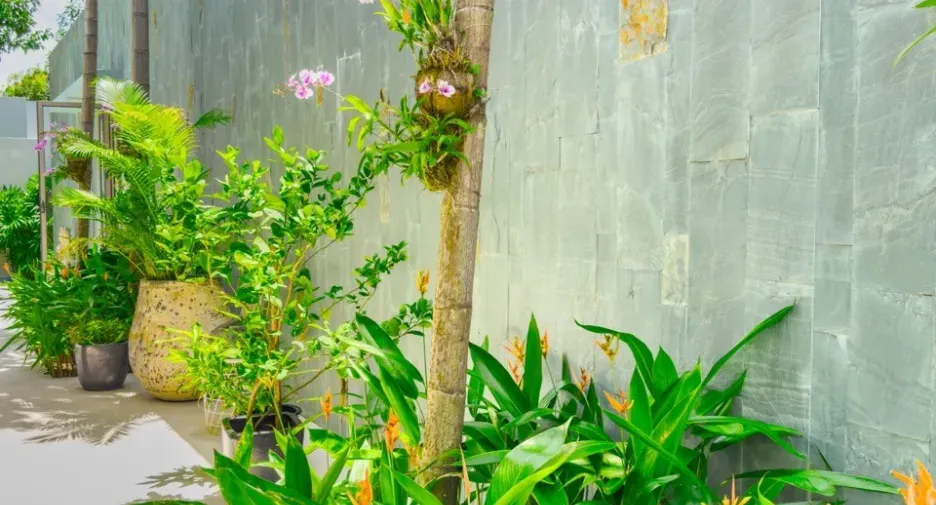 For rent 3 bedrooms villa in Thalang, Phuket