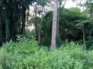 For sale 2 bedrooms house in Mueang Lampang, Lampang