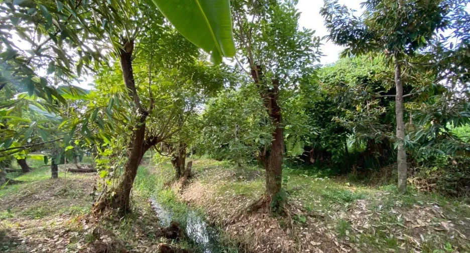 For sale land in Mueang Nonthaburi, Nonthaburi