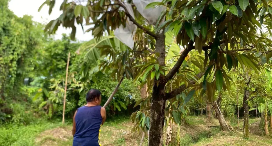 For sale land in Mueang Nonthaburi, Nonthaburi