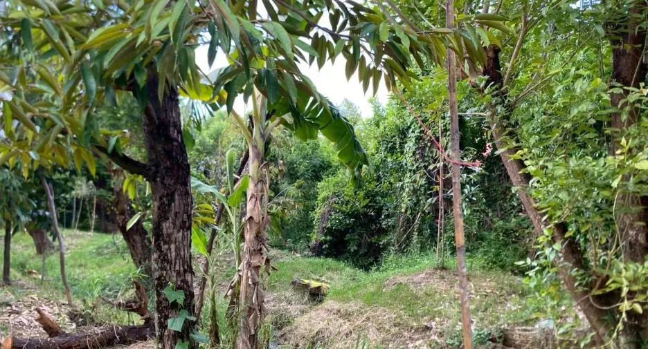 For sale land in Mueang Nonthaburi, Nonthaburi