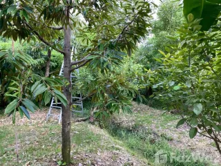 For sale land in Mueang Nonthaburi, Nonthaburi