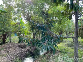 For sale land in Mueang Nonthaburi, Nonthaburi