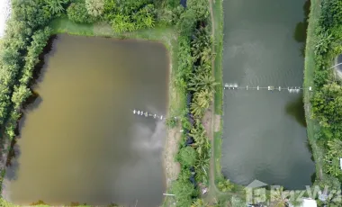 Terreno en venta en Nakhon Chai Si, Nakhon Pathom