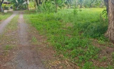 Terreno en venta en Khlong Luang, Pathum Thani