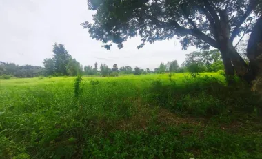 Terreno en venta en Khlong Luang, Pathum Thani