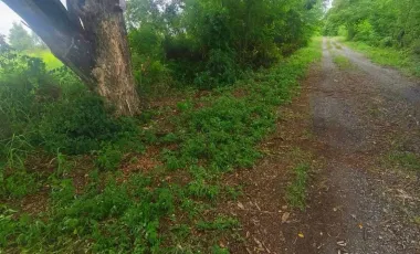 Terreno en venta en Khlong Luang, Pathum Thani