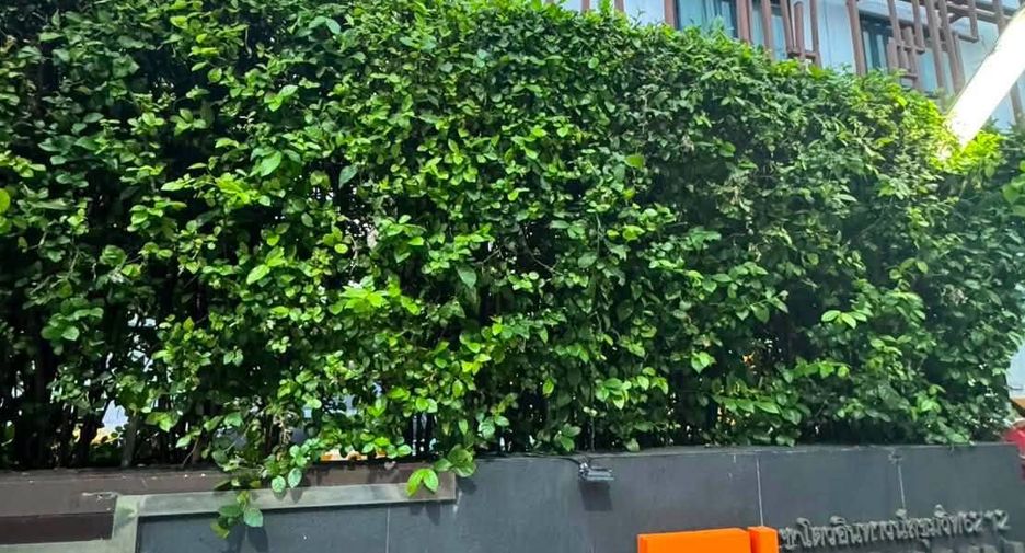 Condo en alquiler y en venta de 2 habitaciones en Phra Khanong, Bangkok