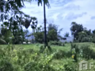 For sale land in Pran Buri, Prachuap Khiri Khan
