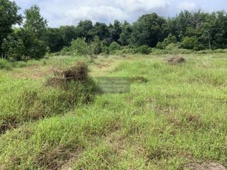 For sale 1 bed land in Thalang, Phuket