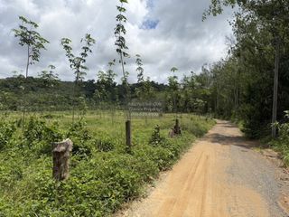 For sale 1 bed land in Thalang, Phuket
