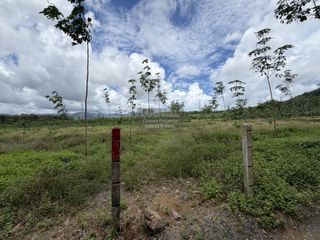 For sale 1 bed land in Thalang, Phuket