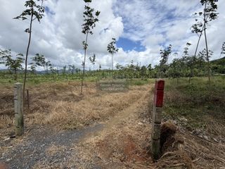 For sale 1 bed land in Thalang, Phuket