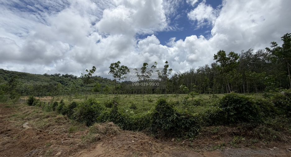 For sale 1 bed land in Thalang, Phuket