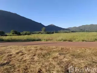 For sale land in Pak Chong, Nakhon Ratchasima