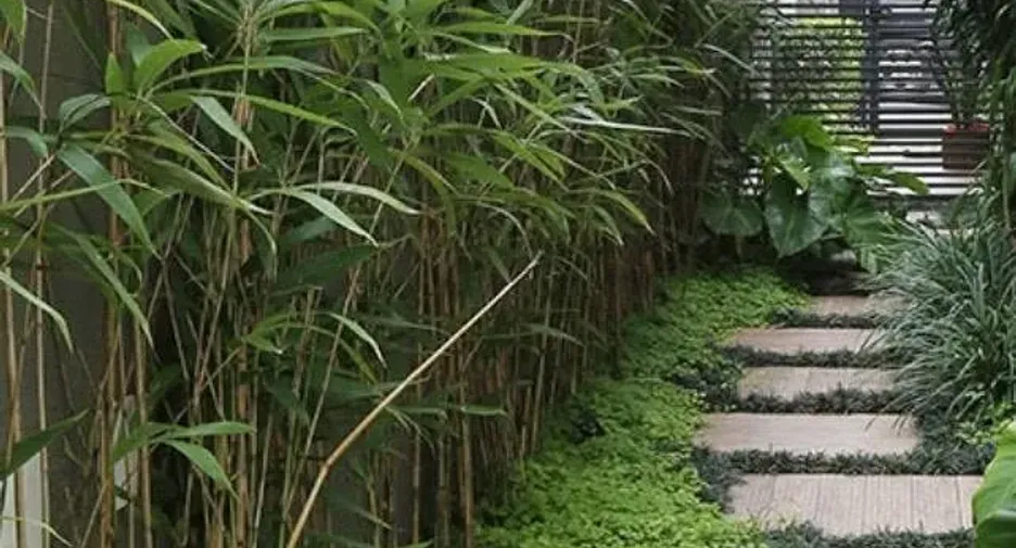 Haus zur Miete mit 3 Zimmer in Mae Rim, Chiang Mai