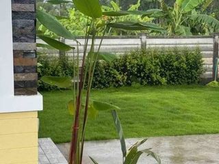 For rent 2 ベッドルーム house in Mae Rim, Chiang Mai