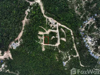 出售 土地 在 Koh Phangan, 素叻